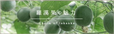 羅漢果の魅力　charm of lakanka
